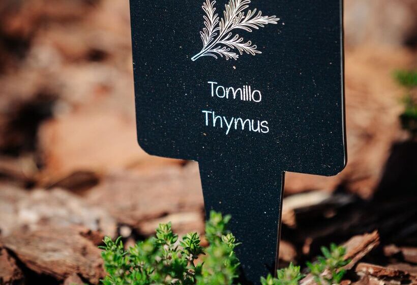 هتل Thb Maria Isabel  Adults Only