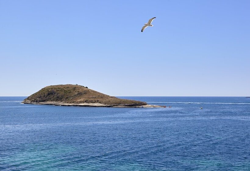 هتل Florida Magaluf   Adults Only