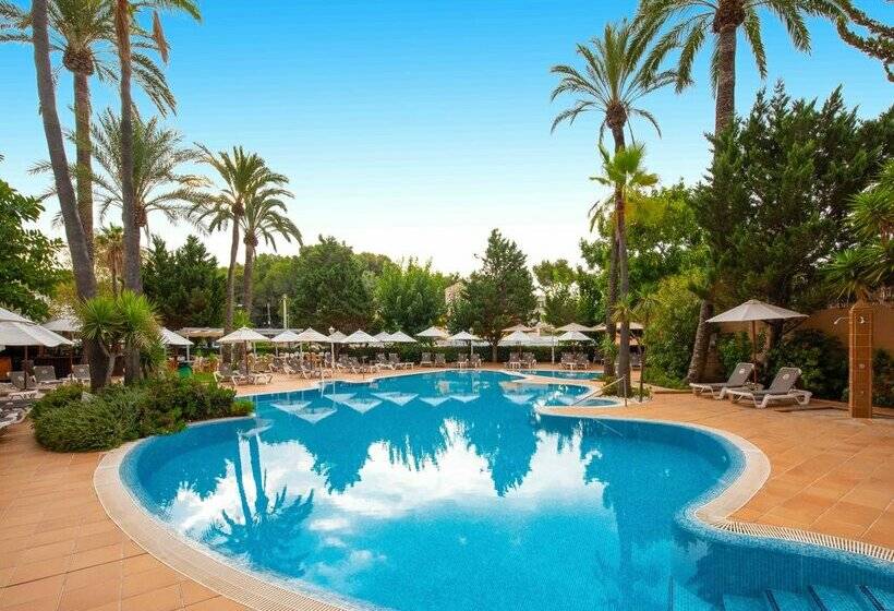 هتل Valentin Reina Paguera - Adults Only