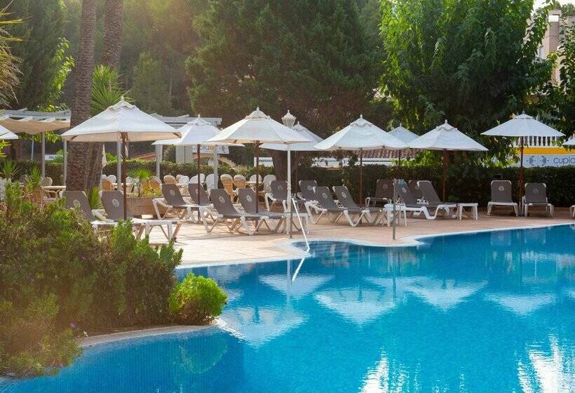 هتل Valentin Reina Paguera - Adults Only