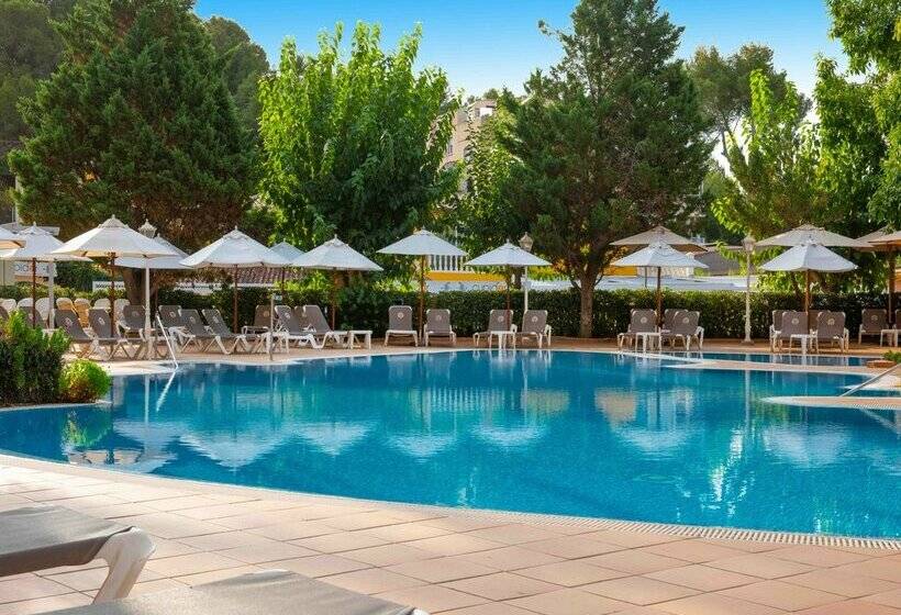 هتل Valentin Reina Paguera - Adults Only