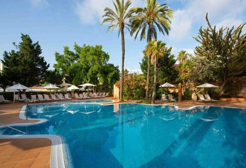 هتل Valentin Reina Paguera - Adults Only