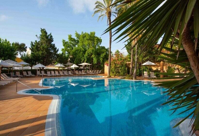هتل Valentin Reina Paguera - Adults Only