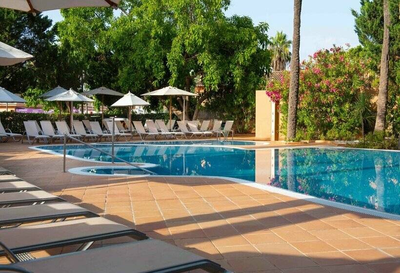 هتل Valentin Reina Paguera - Adults Only