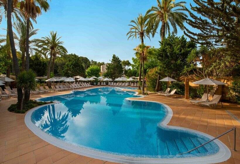 هتل Valentin Reina Paguera - Adults Only