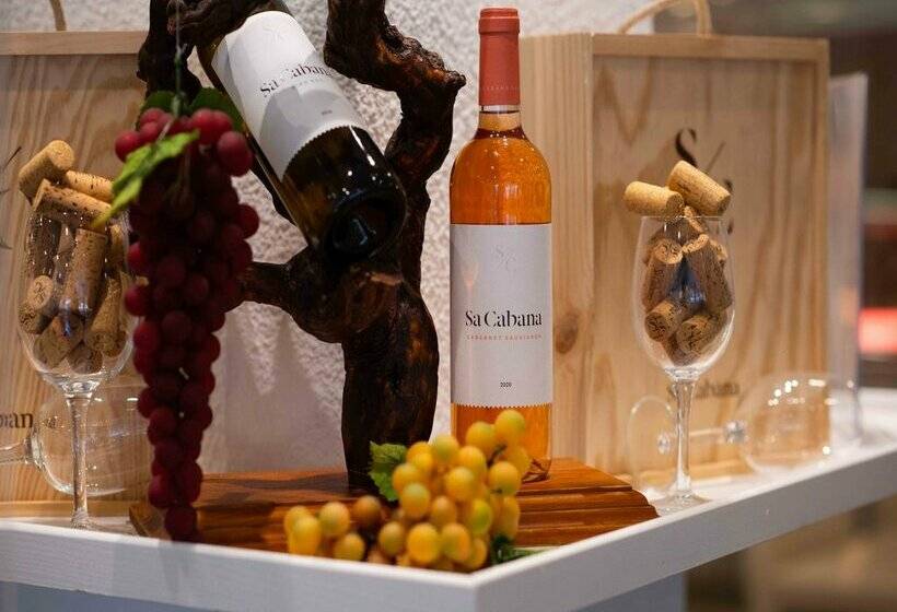 هتل Valentin Reina Paguera - Adults Only