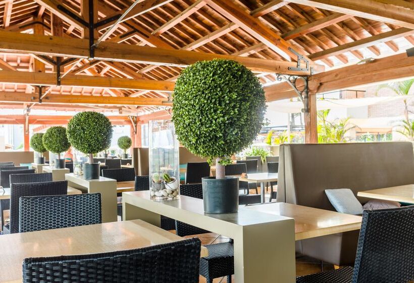 酒店 Zafiro Rey Don Jaime