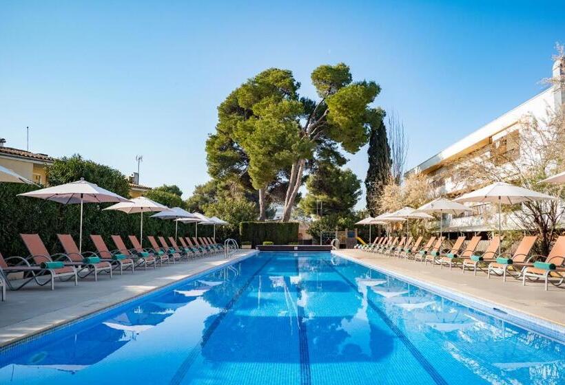 Ivory Playa Sports & Spa