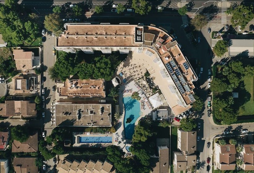 Ivory Playa Sports & Spa