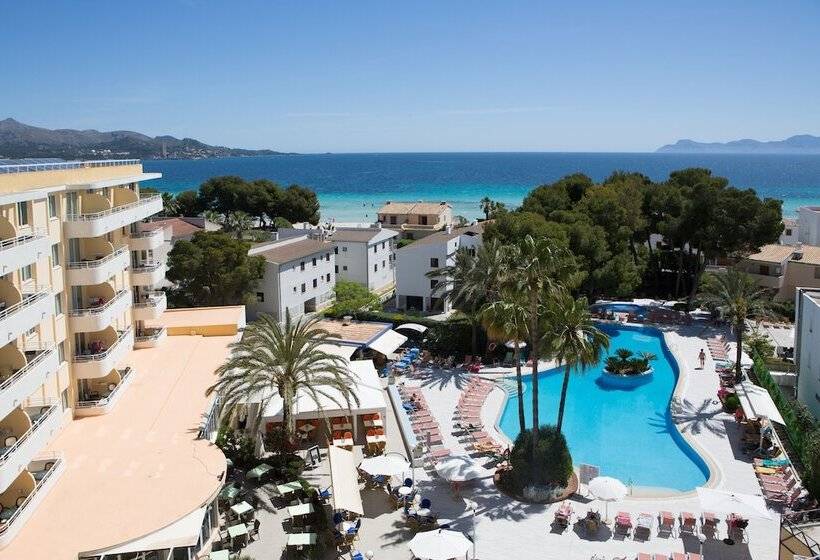 Ivory Playa Sports & Spa