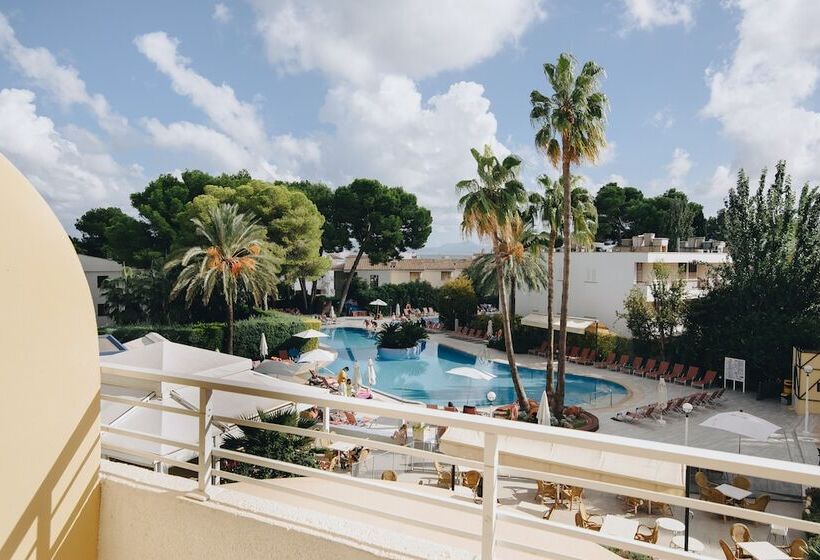 Ivory Playa Sports & Spa