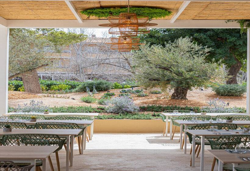 Marsenses Rosa Del Mar Hotel & Spa