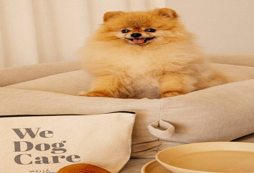 Villa Le Blanc Gran Meliá Hotel