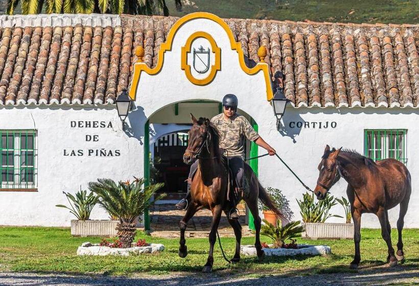 Apart Cortijo Las Piñas