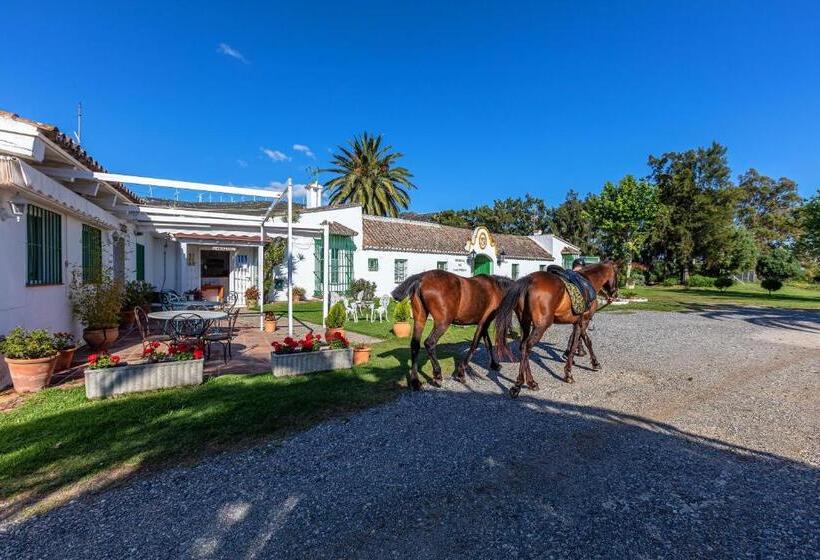 Apart Cortijo Las Piñas