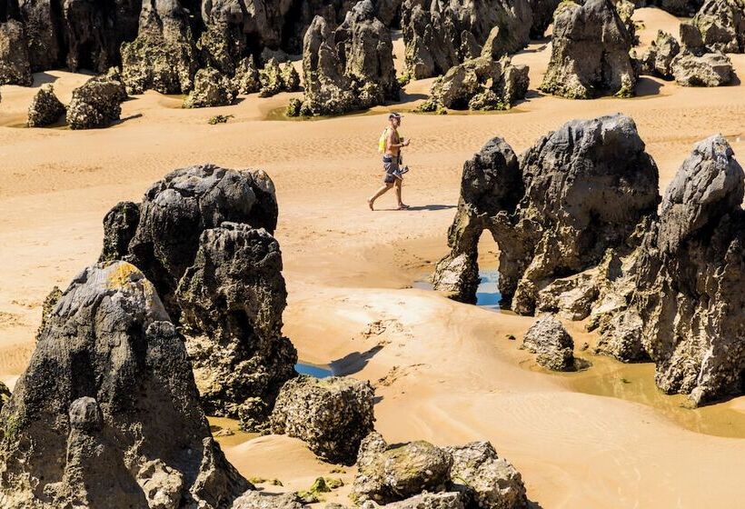 Apartamentos Los Arces