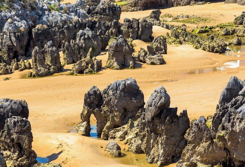 Apartamentos Los Arces