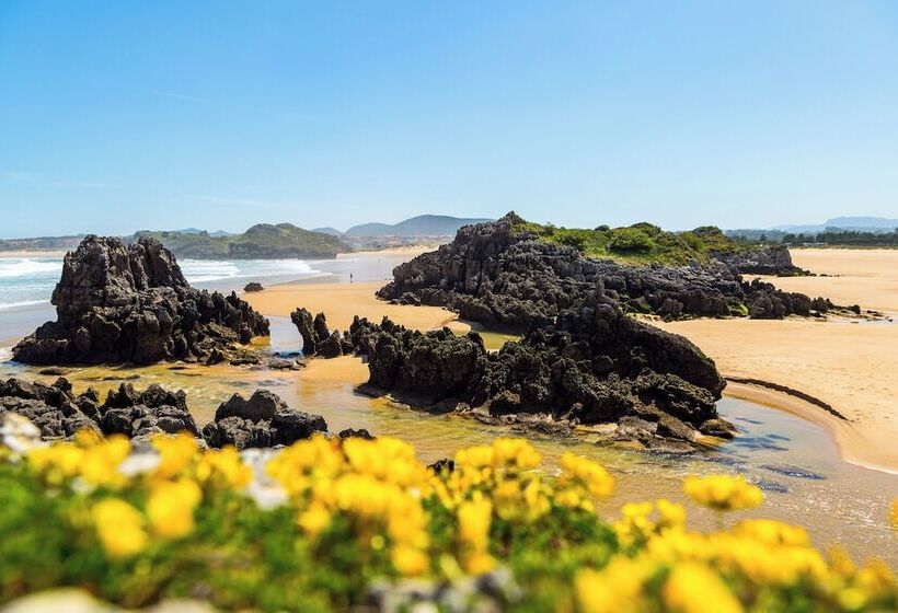 Apartamentos Los Arces