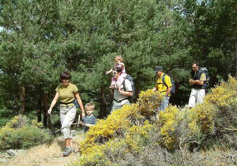 Apartamentos Trevenque