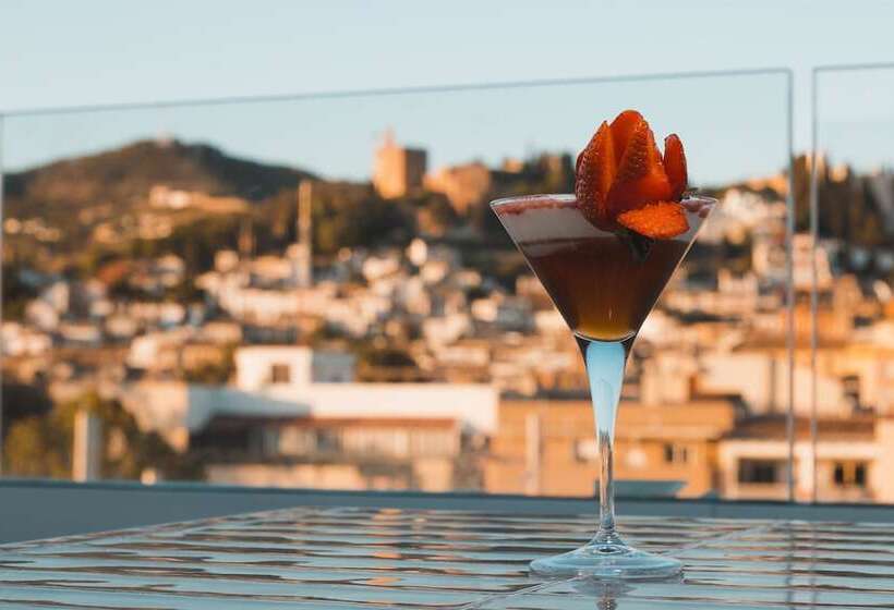 هتل Barcelo Carmen Granada