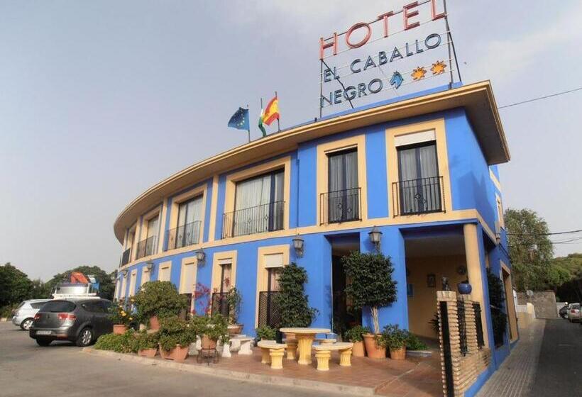 Отель Caballo Negro