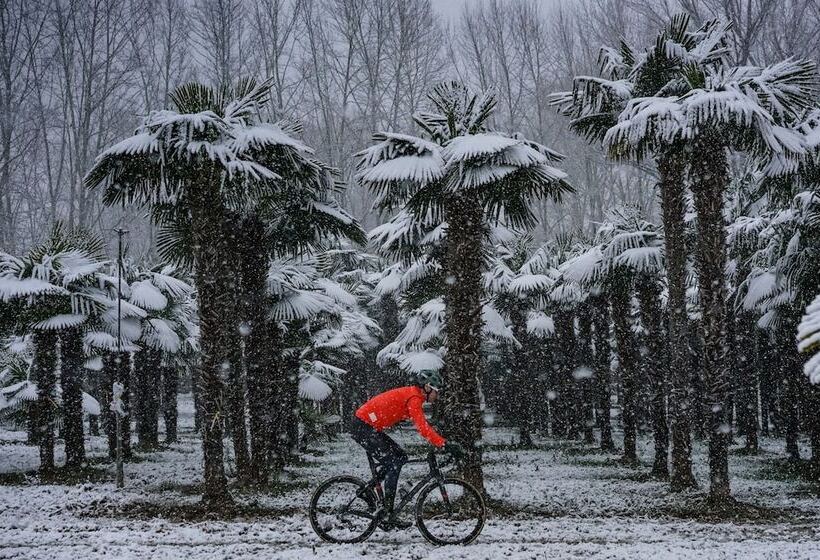 酒店 Carlemany Girona