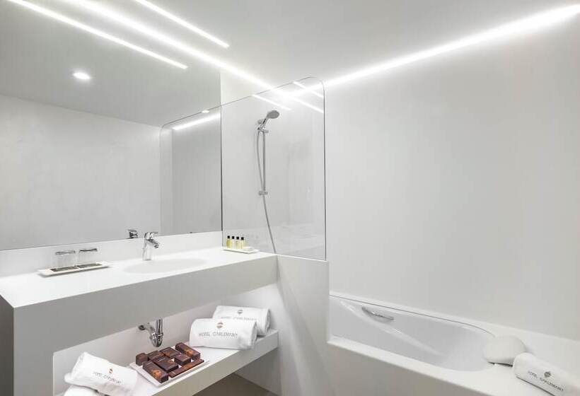 هتل Carlemany Girona