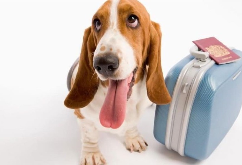 בית מלון כפרי Civis Jaime I