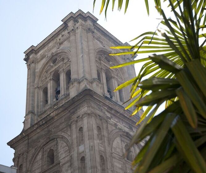 هتل Dauro Premier