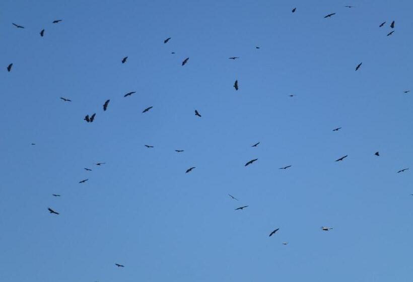 فندق De Montaña Uson