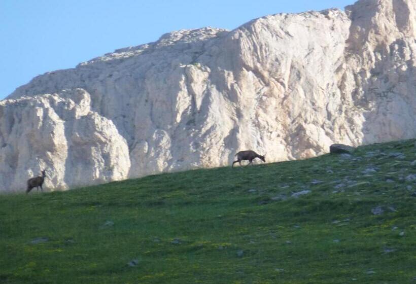 فندق De Montaña Uson