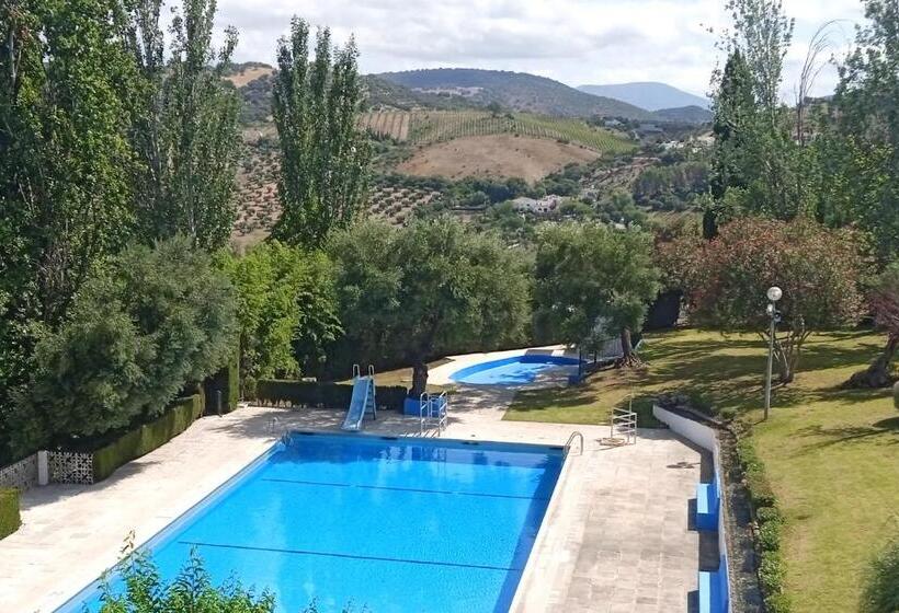 Отель Del Carmen