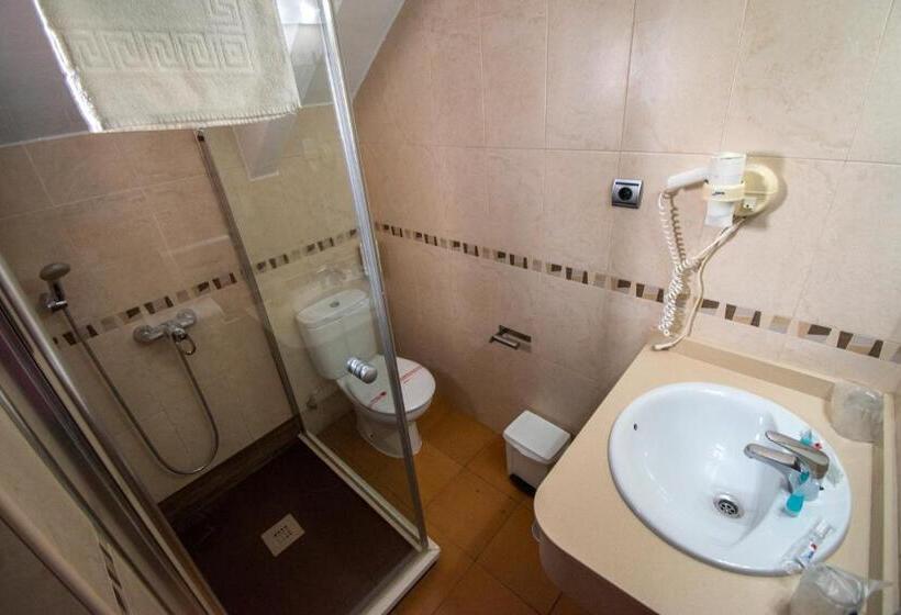 Отель Del Carmen