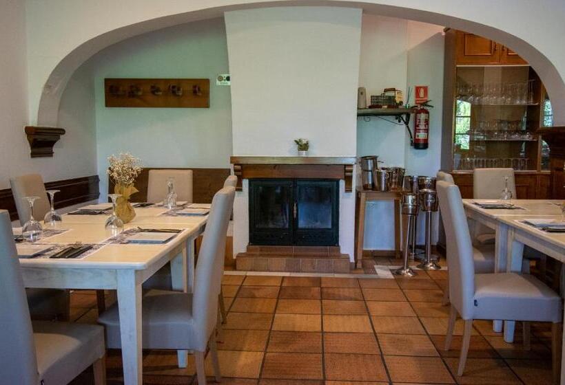 Отель Del Carmen