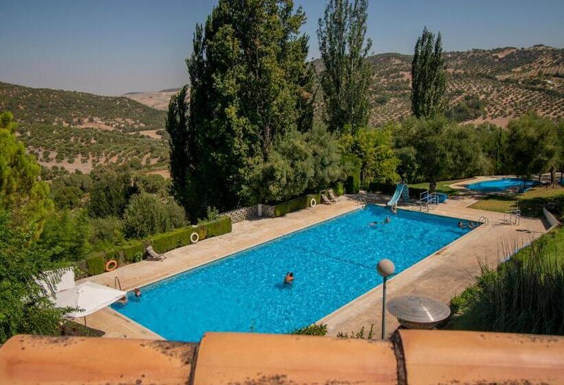 Отель Del Carmen