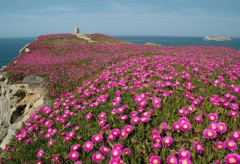 ホテル El Castillo De Los Locos