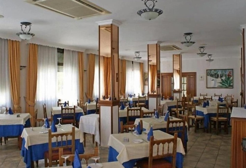 호텔 Paraiso Playa