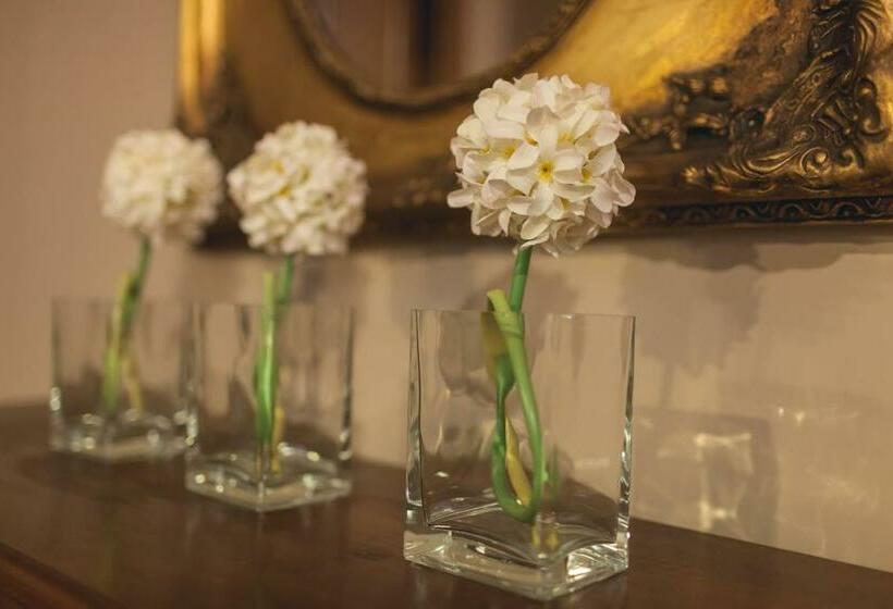 בית מלון כפרי Hc Zoom