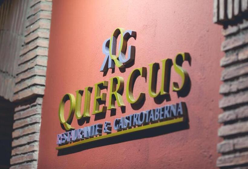 בית מלון כפרי Hc Zoom