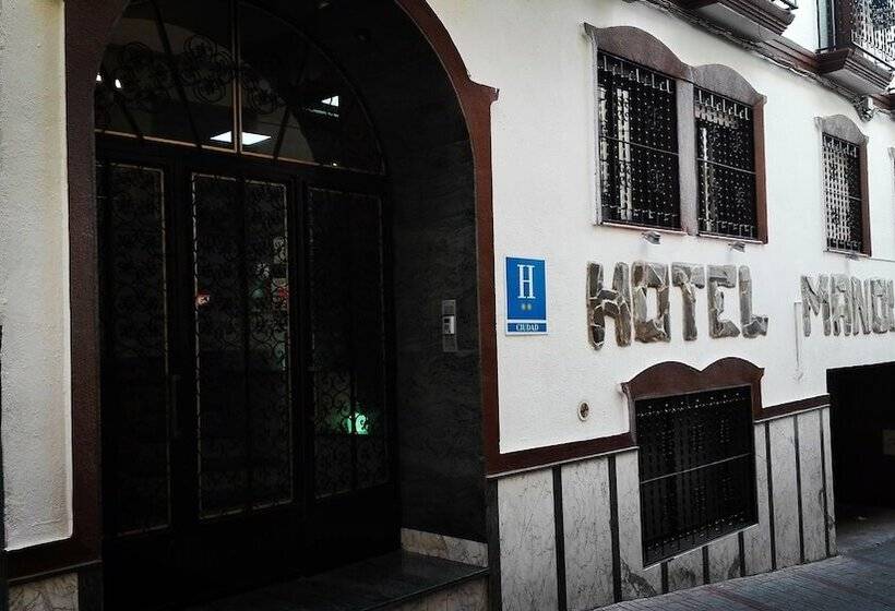 Отель Hostal Manolete