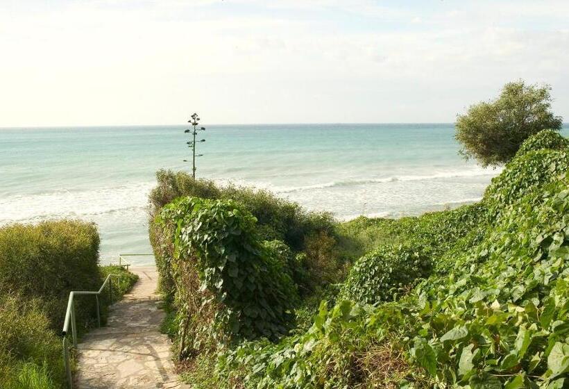 هتل Hurricane Beach