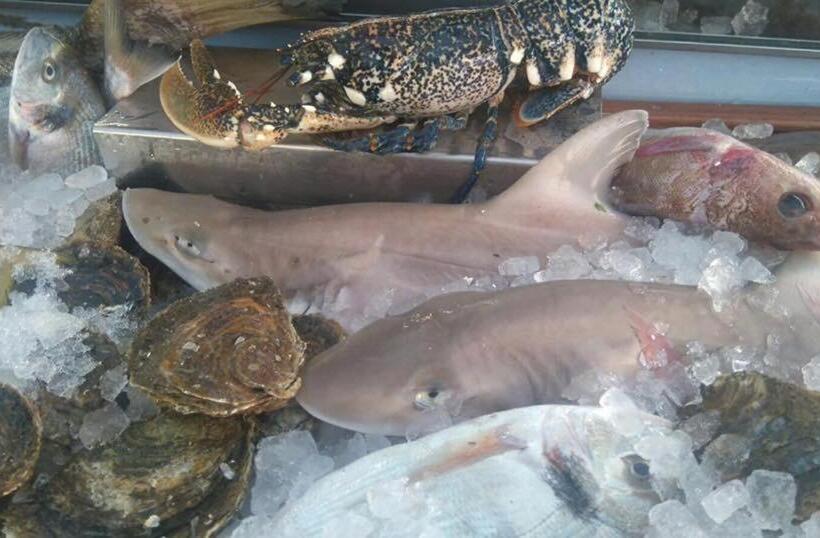 ホテル La Española