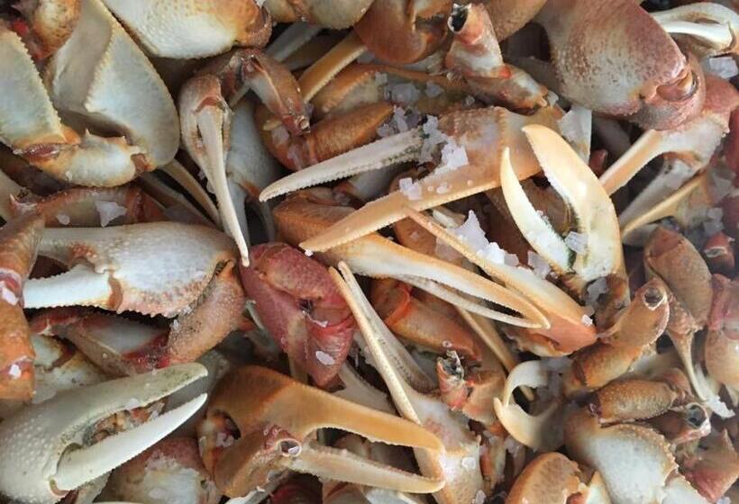 ホテル La Española