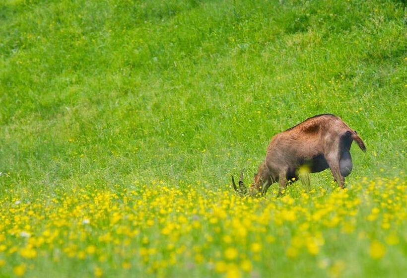 בית מלון כפרי La Posada