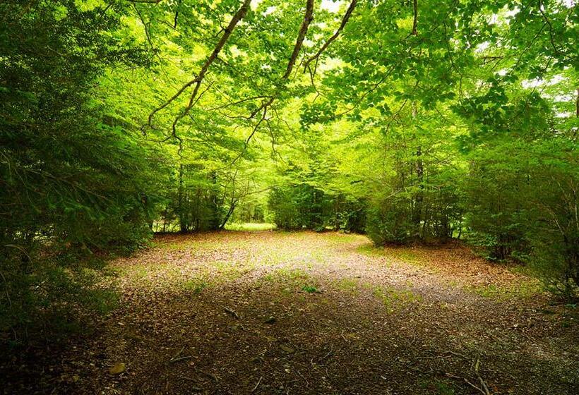 בית מלון כפרי La Posada