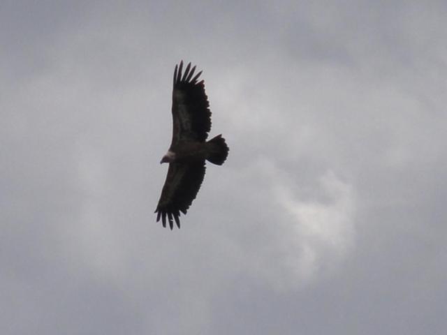 בית מלון כפרי La Posada