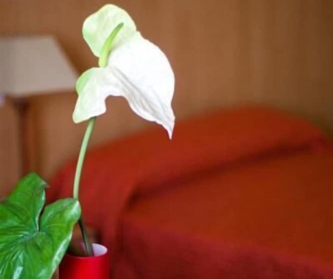 בית מלון כפרי Las Terrazas & Suite