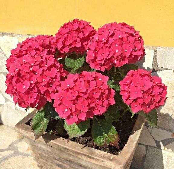 هتل Maria Del Mar