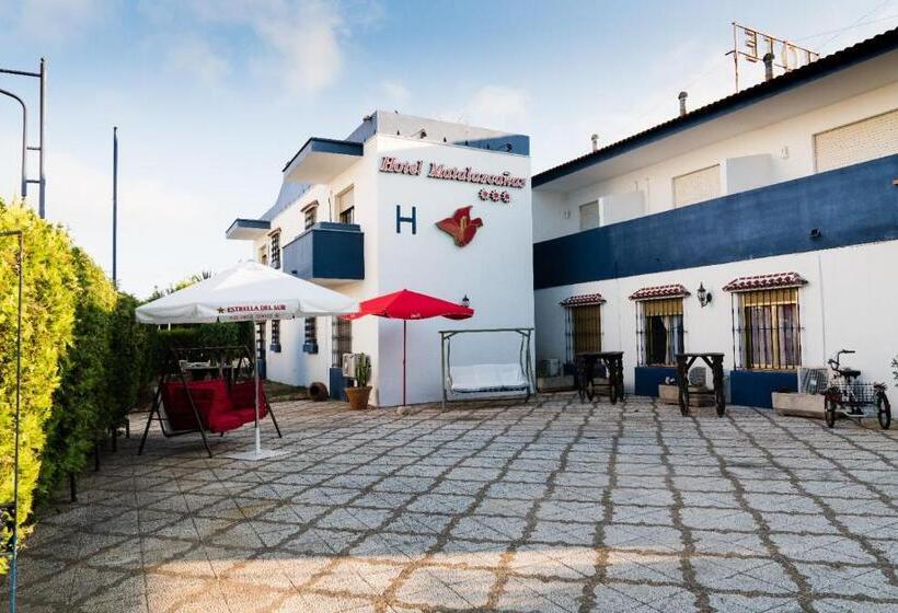 ホテル Matalascañas