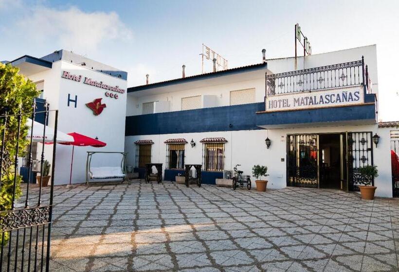 ホテル Matalascañas